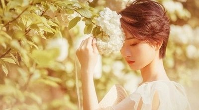吕祖灵签第二十四签：知君高见直冲霄