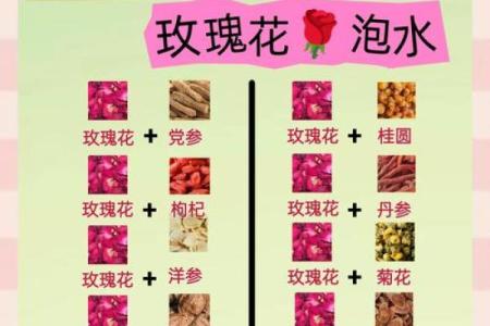 玫瑰花的风水和禁忌