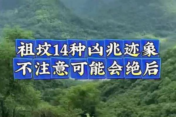 梦见祖改风水
