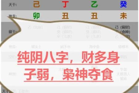 风水解答八字纯阳的男人好不好