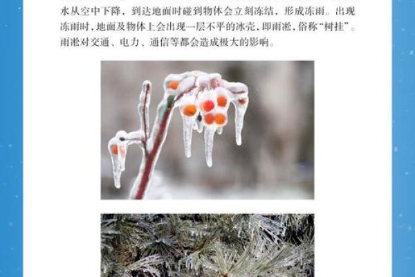 大雪节气风水，新年开运好兆头