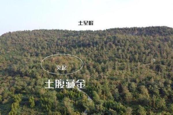 巨门土星峦头风水