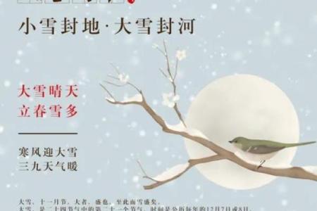 大雪节气风水，新年开运好兆头