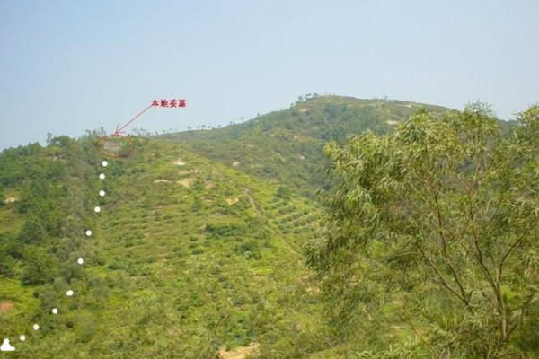 本地姜风水留题
