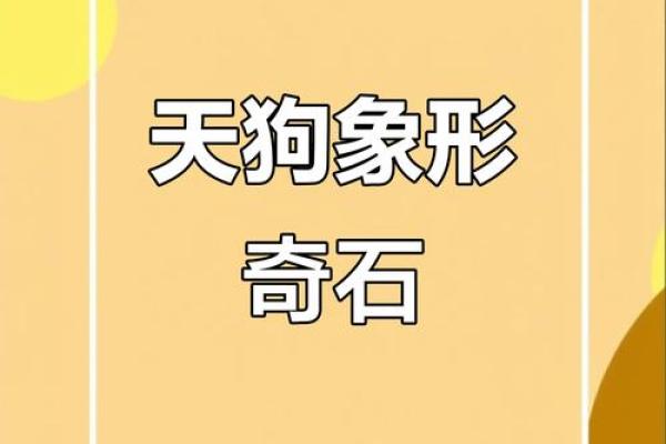 风水上天狗是什么意思象征意义