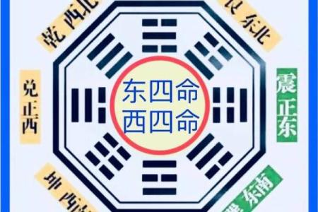 八宅风水知识精要，悟透保你家庭平安吉祥！