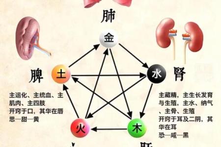 风水命理五行缺火怎么化解
