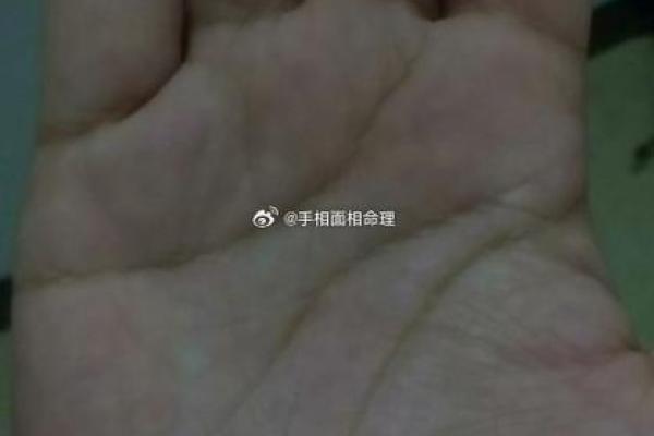 手相风水双手川字掌的女人命运如何