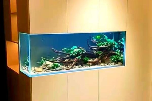 风水鱼缸_鱼缸放在床尾好吗