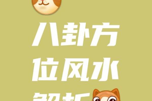 算命风水更好的软件是哪个