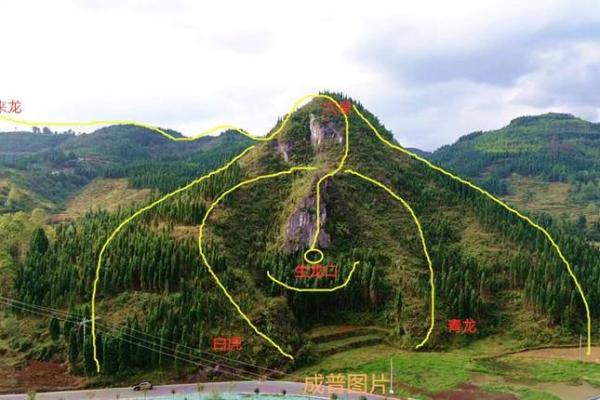 如何看阴宅风水坟地好坏