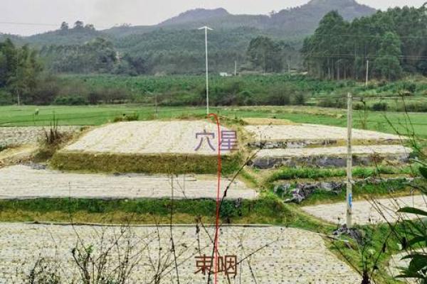 判断好风水墓地好坏哪种墓地风水最好