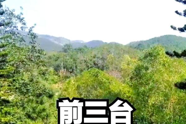 盘点那些太糟糕的婚姻风水布局