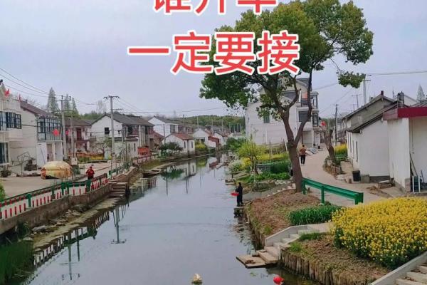 开车风水