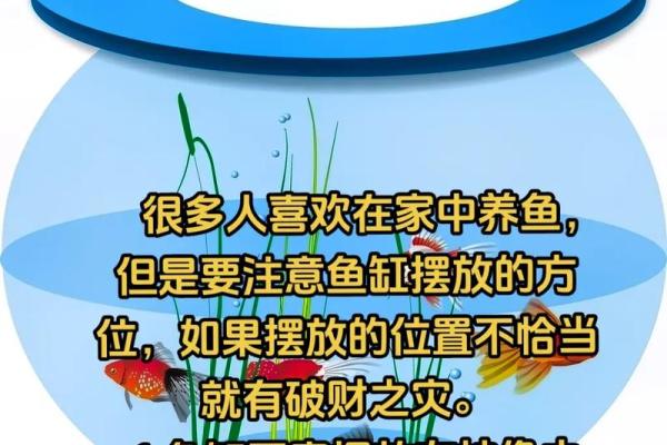 漏财的风水习惯你知道吗