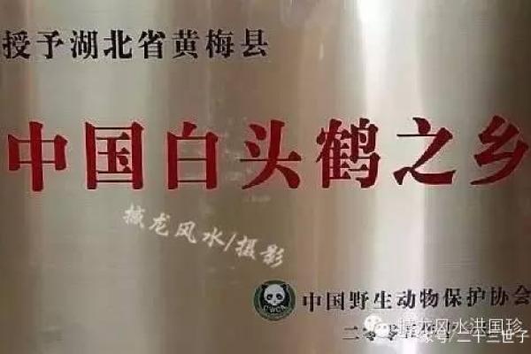 让人匪夷所思的四个大风水事件