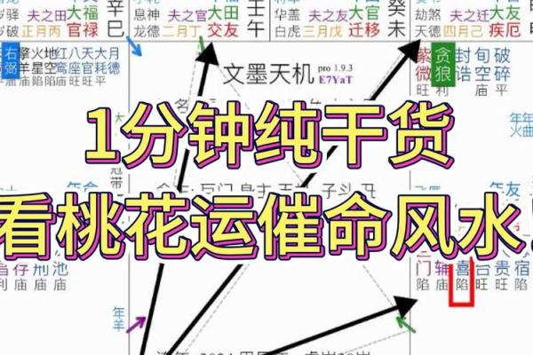 紫微斗数能量组合 紫薇斗数看你的潜能？