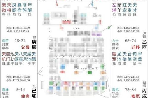 紫薇斗数实例解说