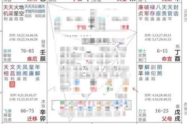 紫薇斗数实例解说