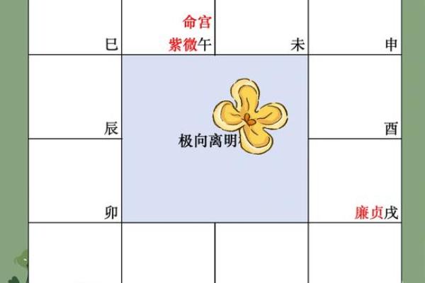 如何看紫薇星在什么宫