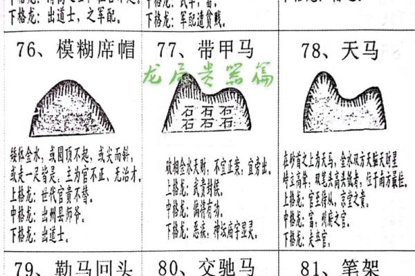 壬丙兼子午阳宅风水