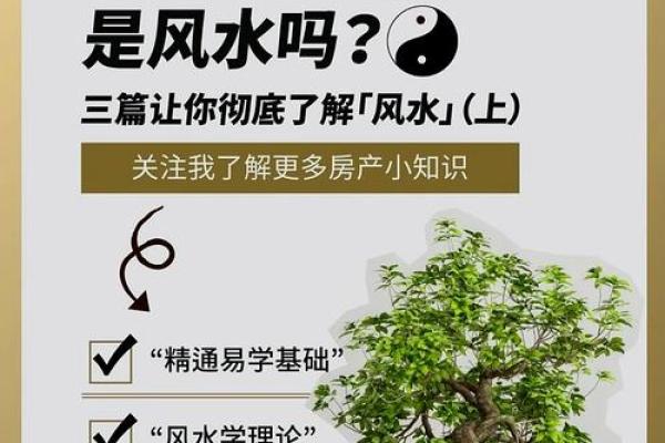 风水的真实作用究竟是什么，三大因素为你解读！