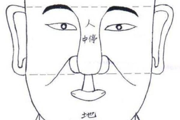 面相算命入门：三停，什么是三停？