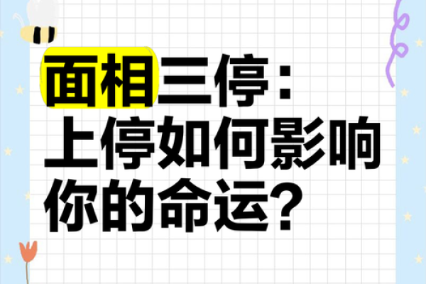 面相算命入门：三停，什么是三停？