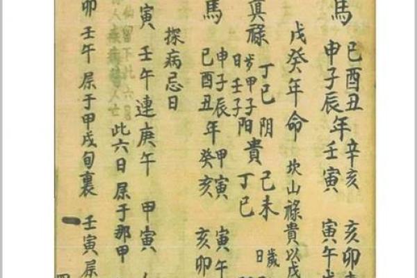 禄马紫薇斗数