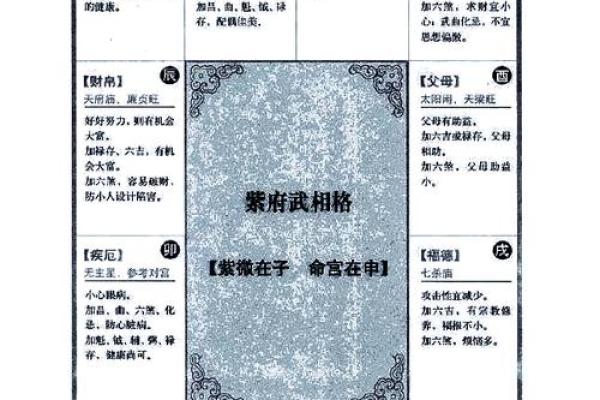 紫薇斗数限流盘