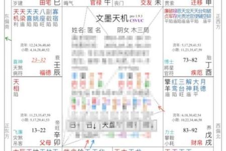 紫薇斗数乙级星含义