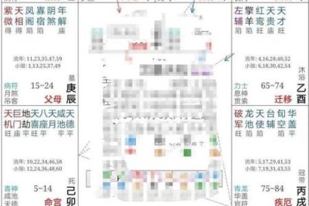 紫薇斗数实例解说