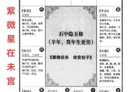 紫薇斗数36颗星代表什么