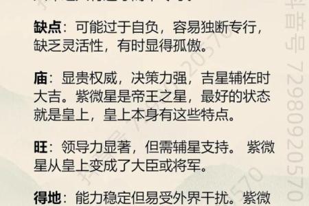 紫微斗数戊级星大小排序 戊子的官星？