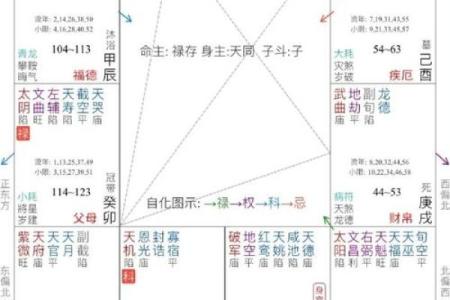 紫微斗数诸星落诸宫之：破军星父母宫详解