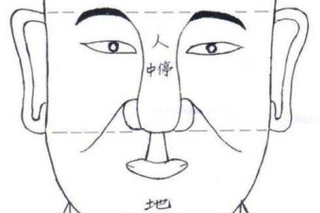 面相算命入门：三停，什么是三停？