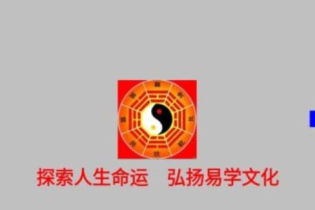 新派八字排盘软件下载