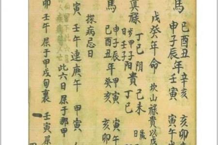 禄马紫薇斗数