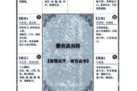 紫薇斗数限流盘
