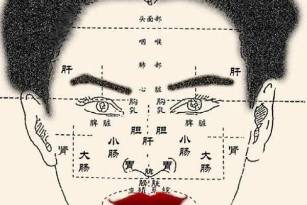 面相解析：额头面相算命图解