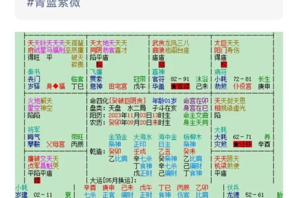 命格紫薇斗数