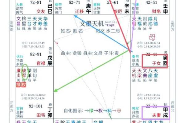 命格紫薇斗数