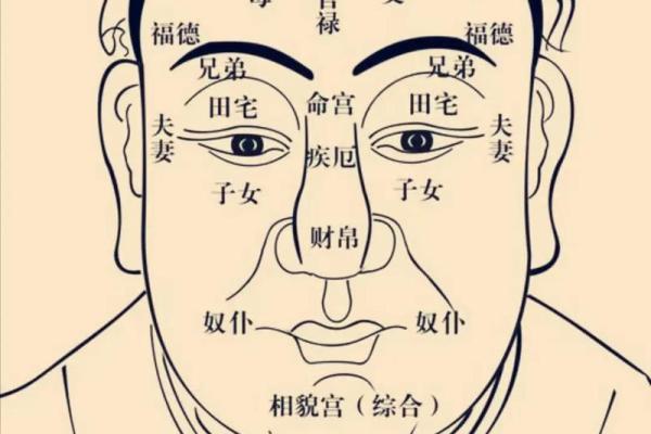 紫薇斗数太阳入命宫