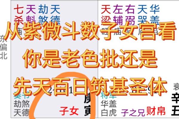 劫煞星紫薇斗数