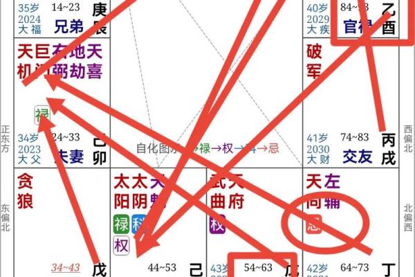 紫薇斗数如何看工作变化