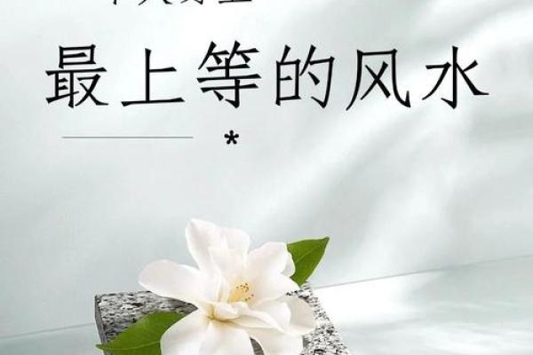 身上的三处上等风水，千万不要破坏！