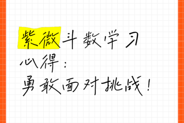 学紫薇斗数心得