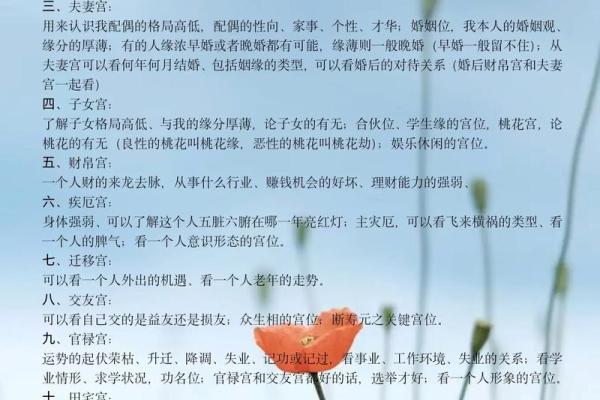 学紫薇斗数心得