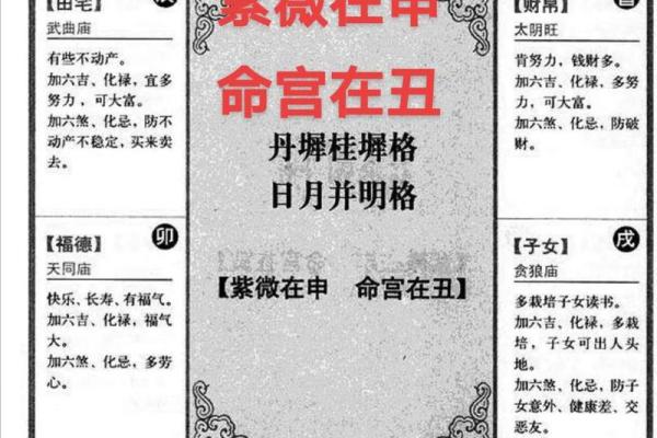 属于紫薇斗数
