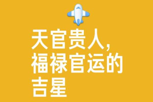 算命天灾星